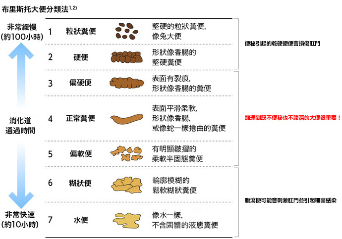 布里斯托大便分類法